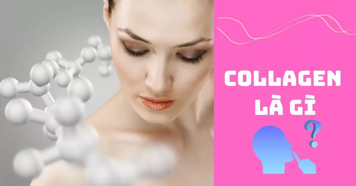 collagen là gì