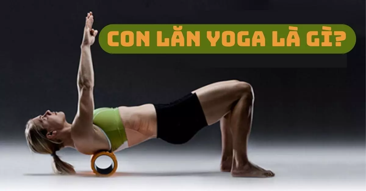 con lăn yoga là gì