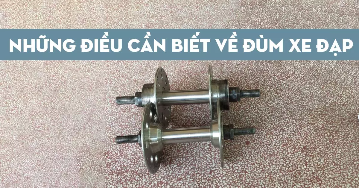 đùm xe đạp là gì