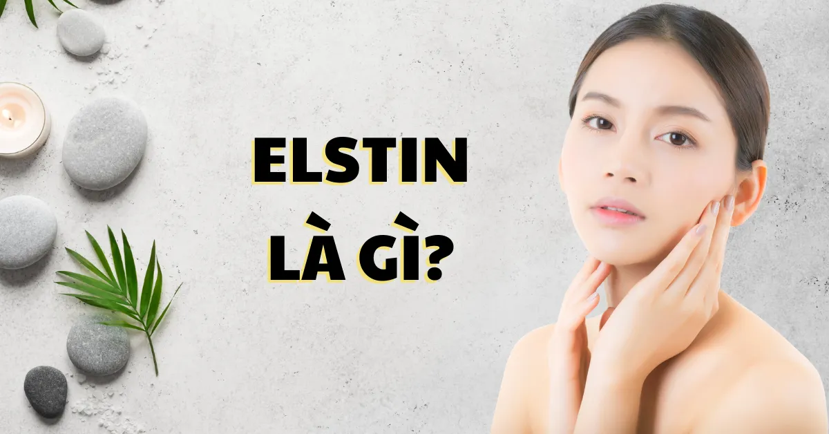 Elastin là gì? Elastin có tác dụng gì với cơ thể?