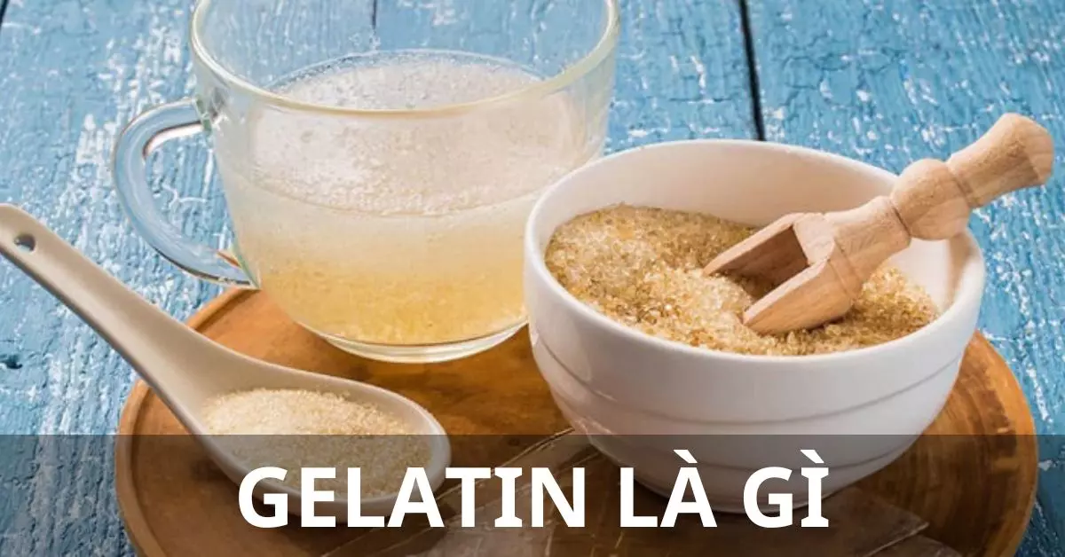 gelatin là gì