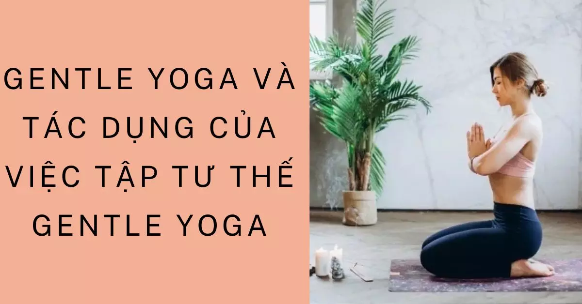 gentle yoga là gì