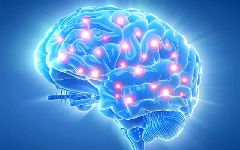 Hạt óc chó giúp tăng cường sức khỏe não bộ, hệ thần kinh