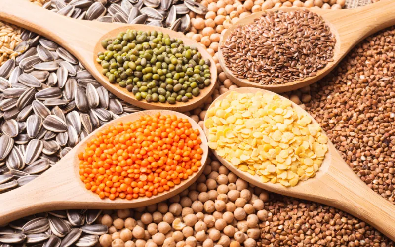 Thực phẩm chứa nhiều Inositol (vitamin B8)
