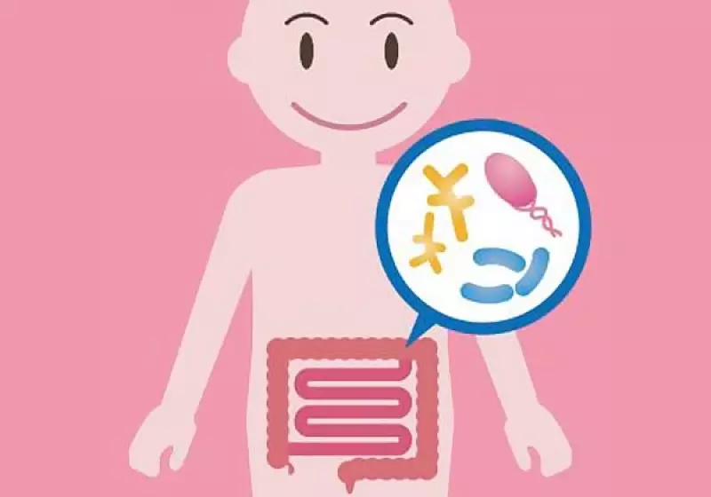 Lactobacillus có nhiều lợi ích cho sức khỏe