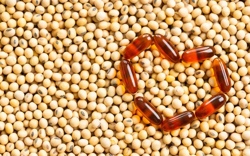 Lecithin có trong thực phẩm nào?
