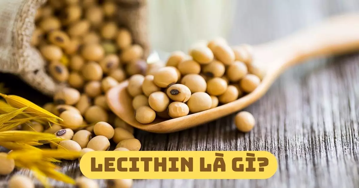 lecithin là gì