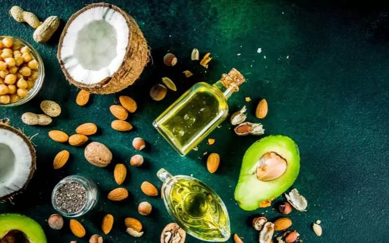 Duy trì nhiệt độ cơ thể và bảo vệ cơ thể
