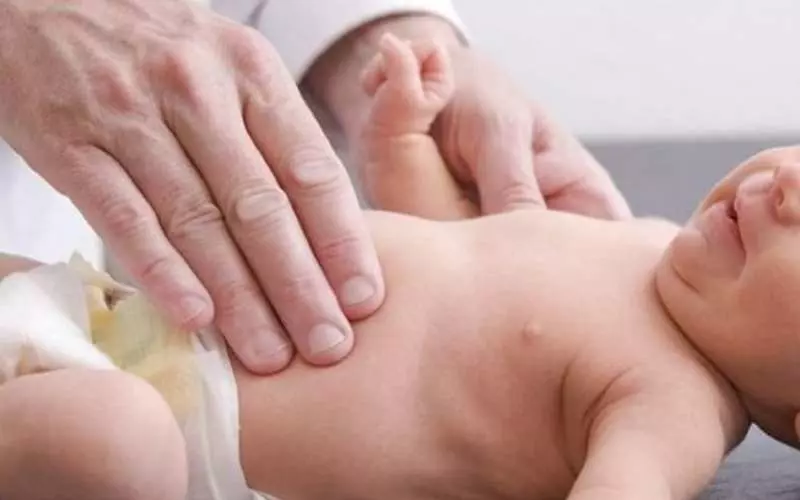 Tham gia cấu trúc cơ thể