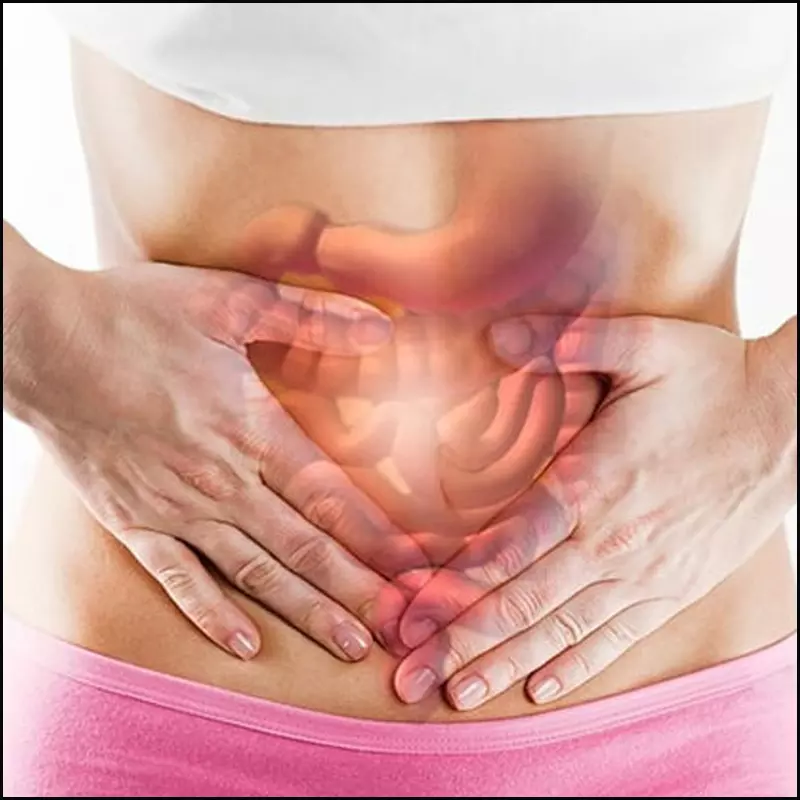 Men tiêu hóa có lợi cho đường ruột