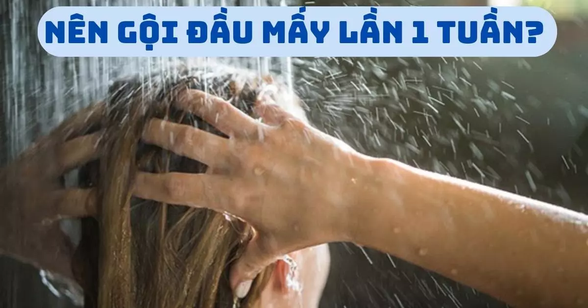 nên gội đầu mấy lần 1 tuần