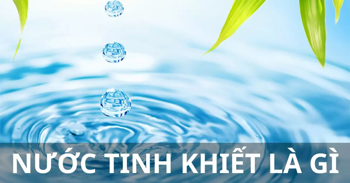 nước tinh khiết là gì
