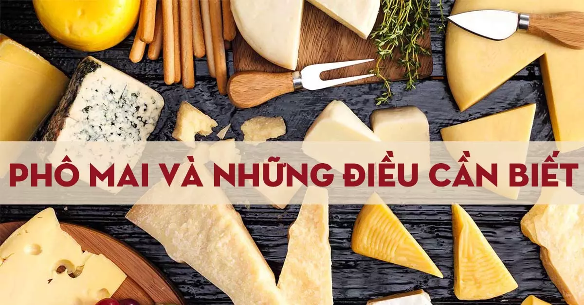 phô mai là gì