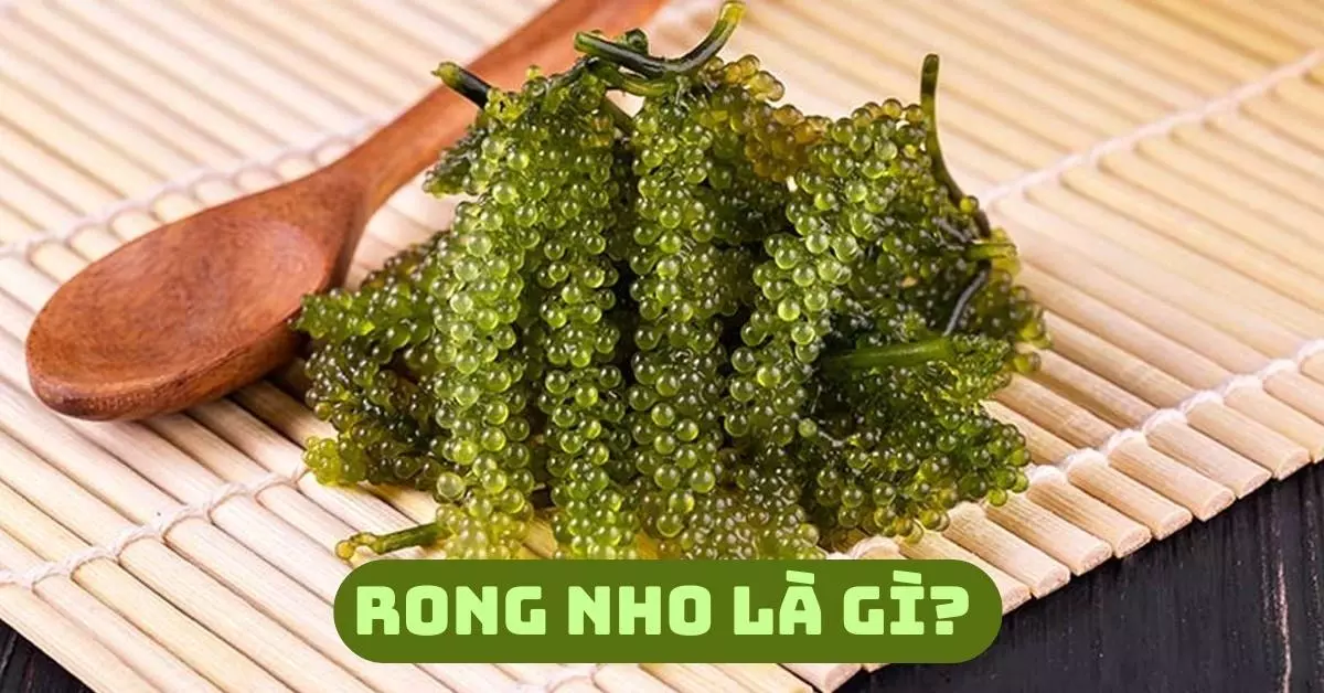 rong nho là gì