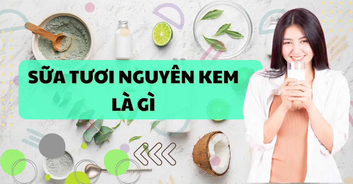 Sữa tươi nguyên kem là gì? Có gì khác so với các loại sữa còn lại?