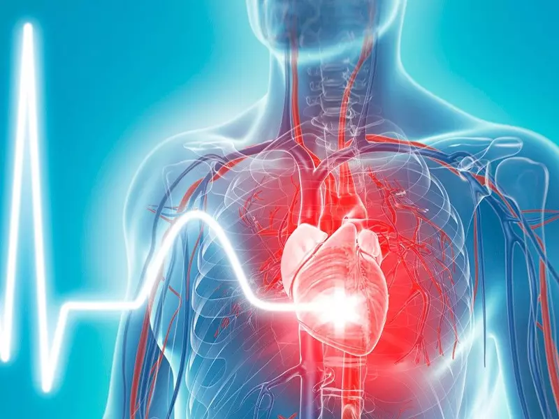 Giảm các bệnh về tim mạch