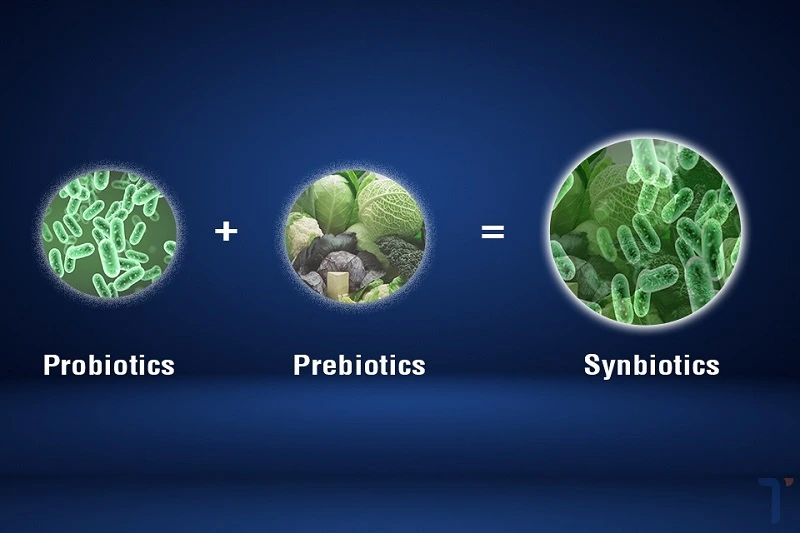Synbiotics là gì?