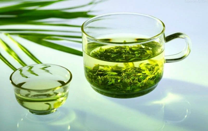 Bài thuốc chữa tắc tia sữa bằng lá đinh lăng