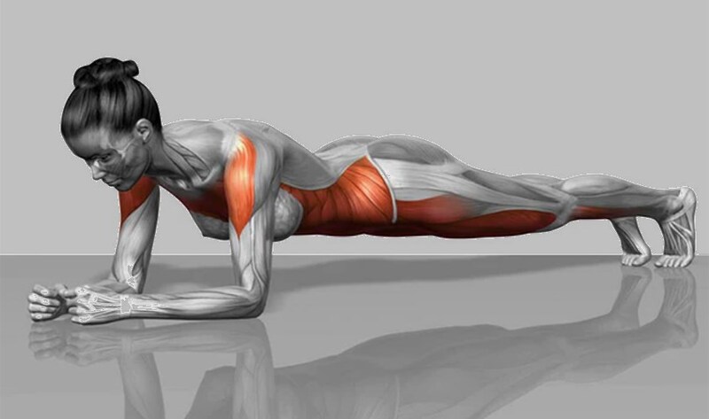 Tập plank có giảm mỡ bụng không?