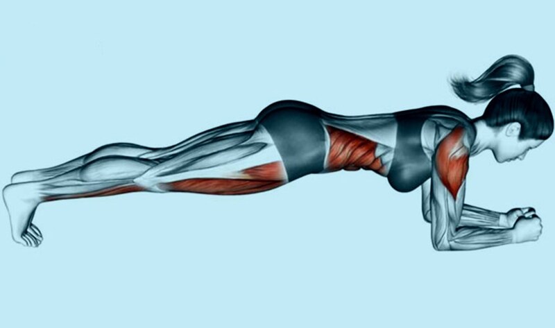 Tập plank có bị to bắp tay không?