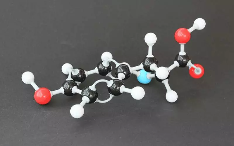Tyrosine là một Amino Acid (hay còn gọi là axit amin) cấu thành nên protein
