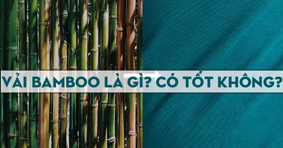 vải Bamboo là gì