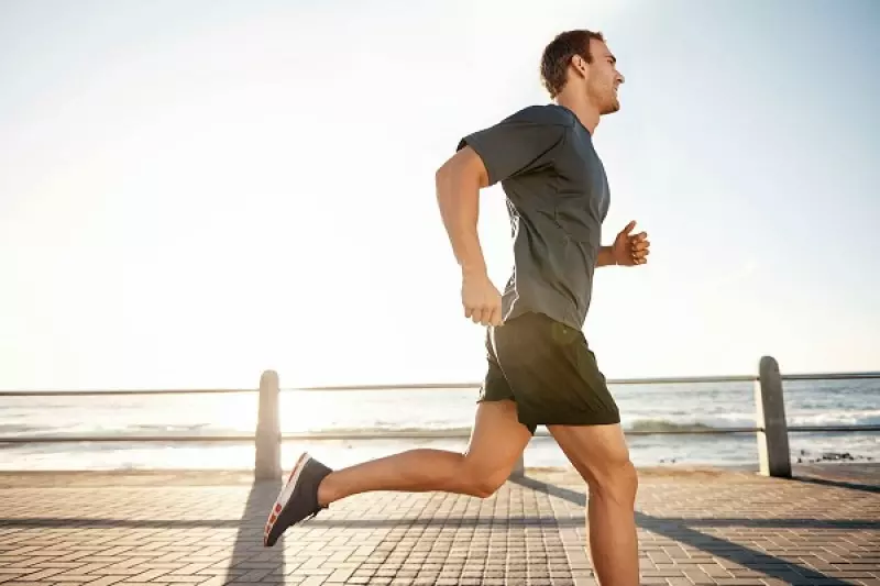 Vải lacoste sự mềm mịn, mát nhẹ