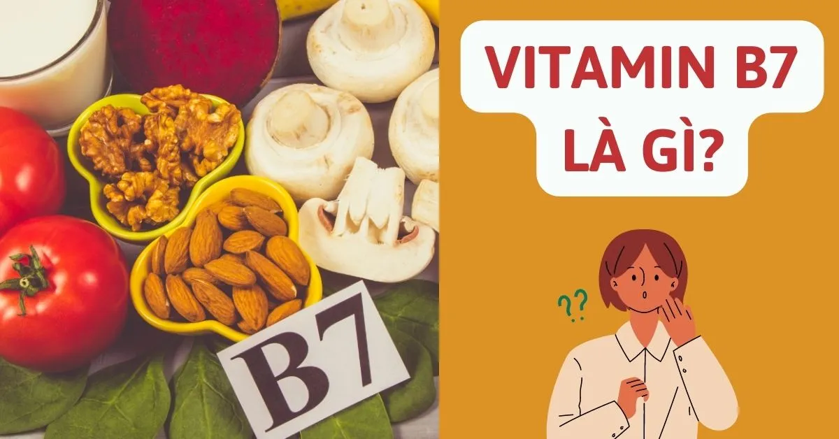vitamin b7 là gì