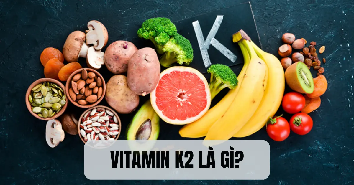 vitamin k2 là gì