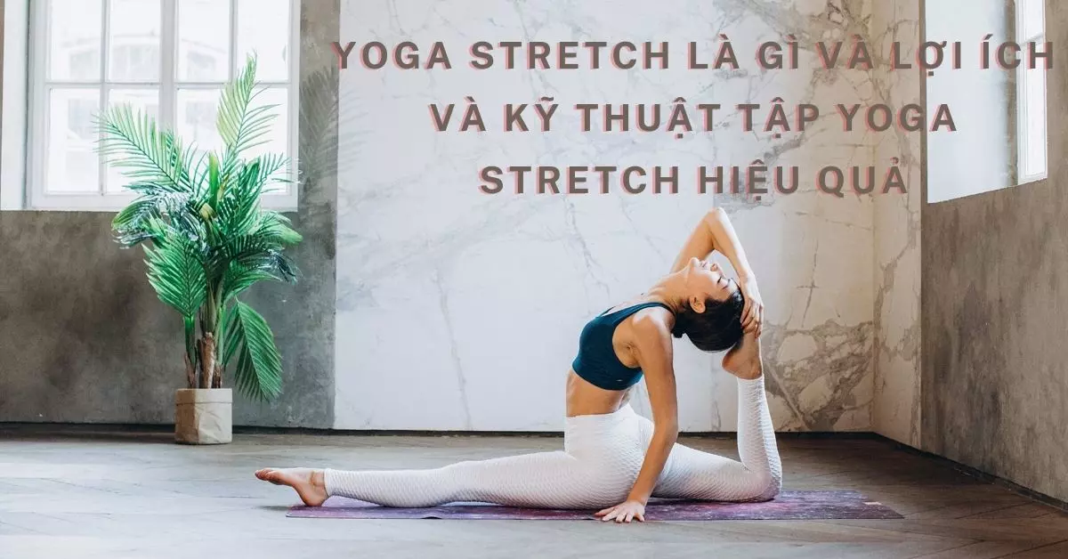 yoga stretch là gì