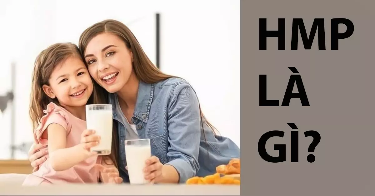 HMP là gì?