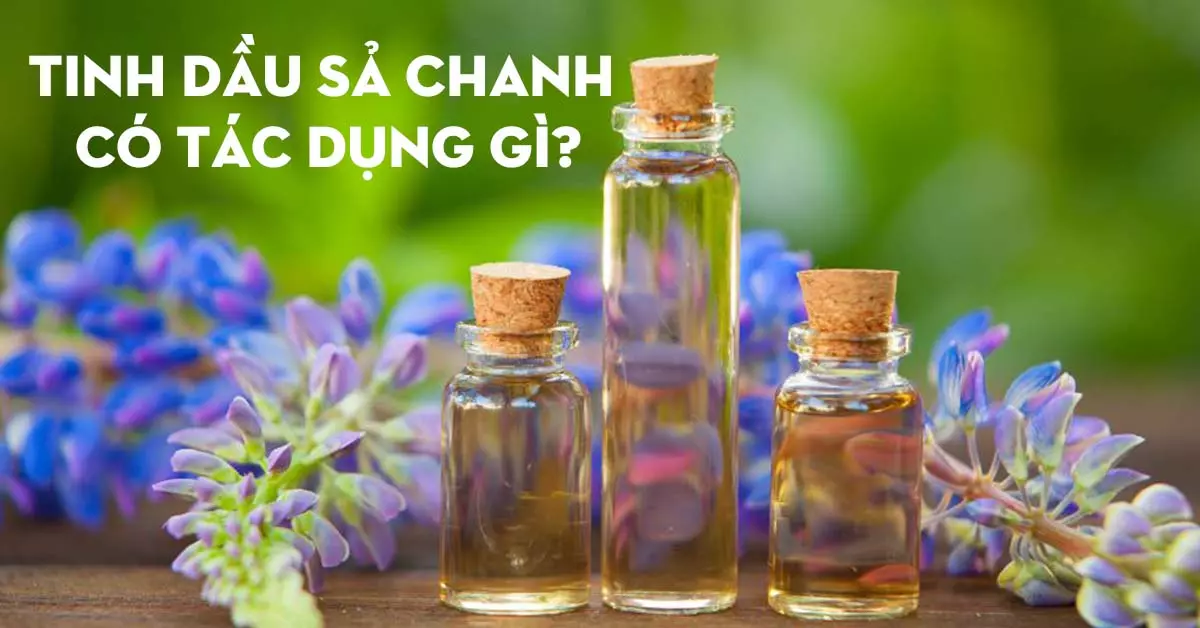 Tinh dầu sả chanh có tác dụng gì