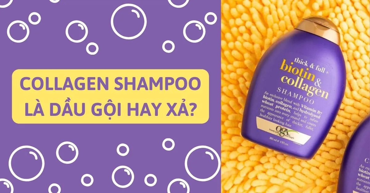 collagen shampoo là dầu gội hay xả