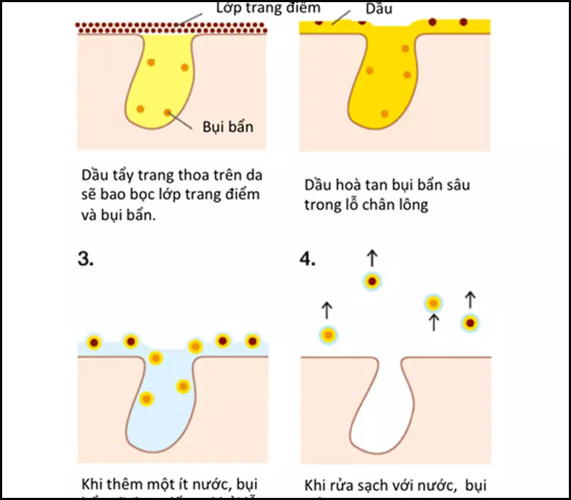 Cơ chế hoạt động của dầu tẩy trang tương đối đơn giản