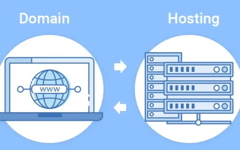 Phân biệt giữa hosting và domain