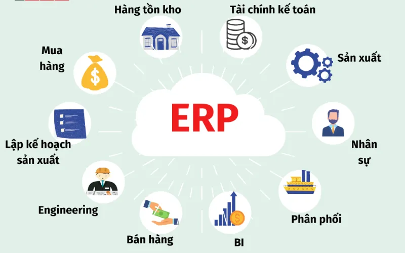 Đặc điểm của ERP