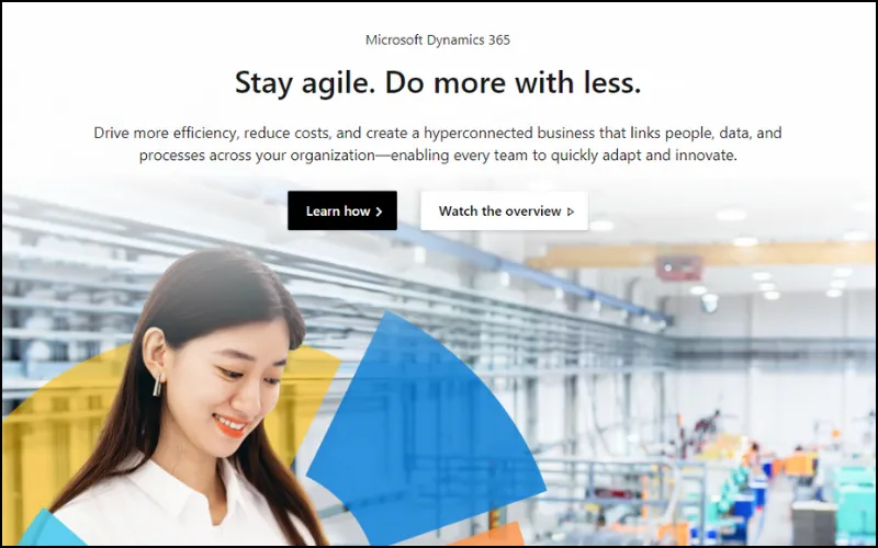 Microsoft Dynamic