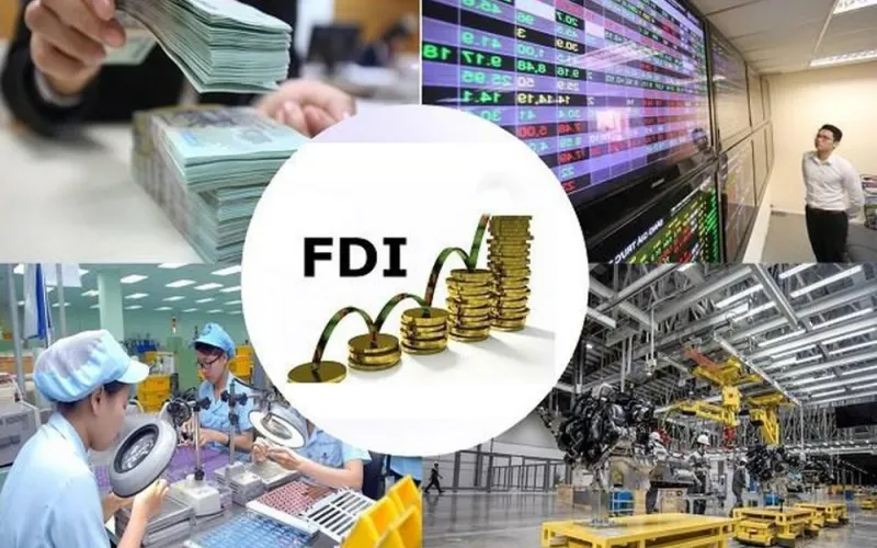 Định nghĩa về doanh nghiệp FDI