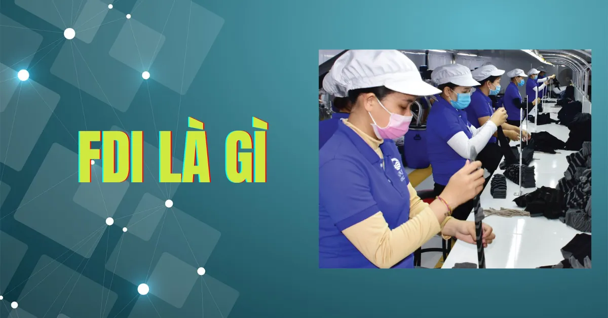 FDI là gì? Nguồn gốc, bản chất, đặc điểm, vai trò của FDI