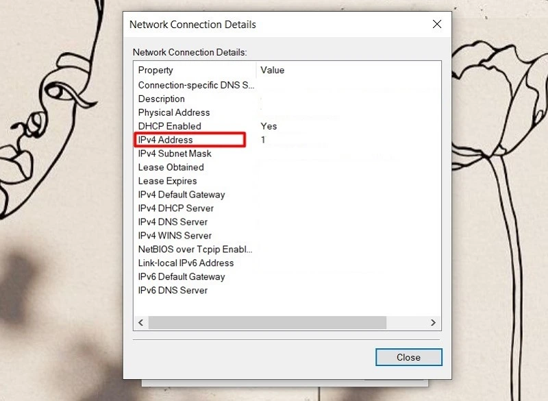Địa chỉ IP Private sẽ hiện tại dòng IPv4 Address