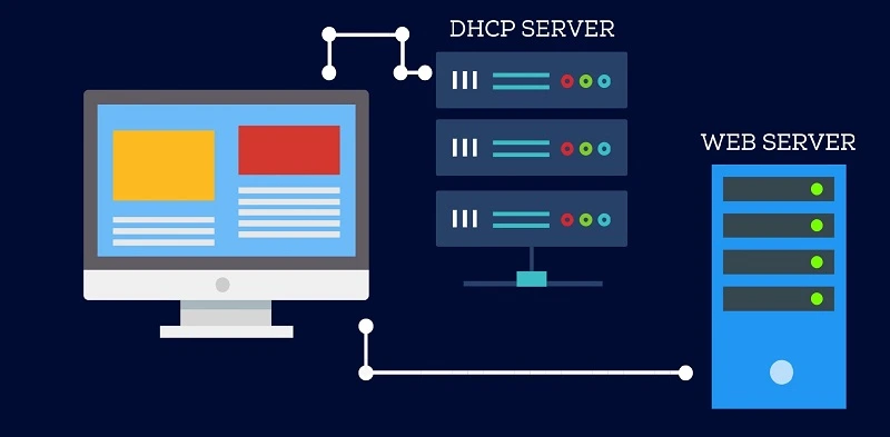 IP Dynamic