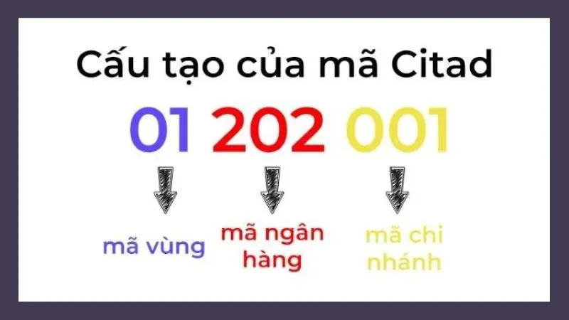 Mã Citad là gì?