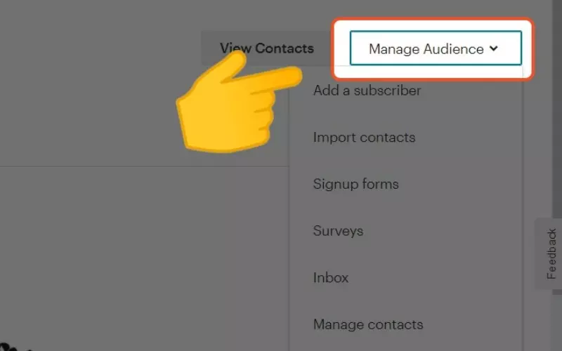Chọn Manage Audiences