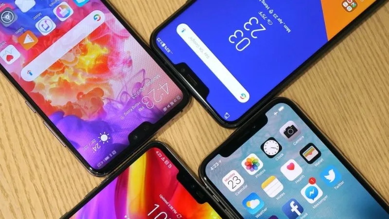 Sự hình thành và phát triển của tai thỏ