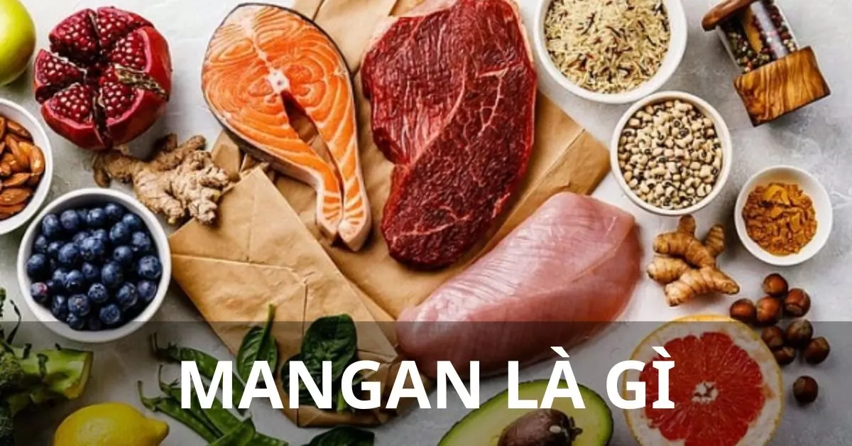 mangan là gì