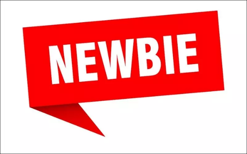 Newbie là gì?