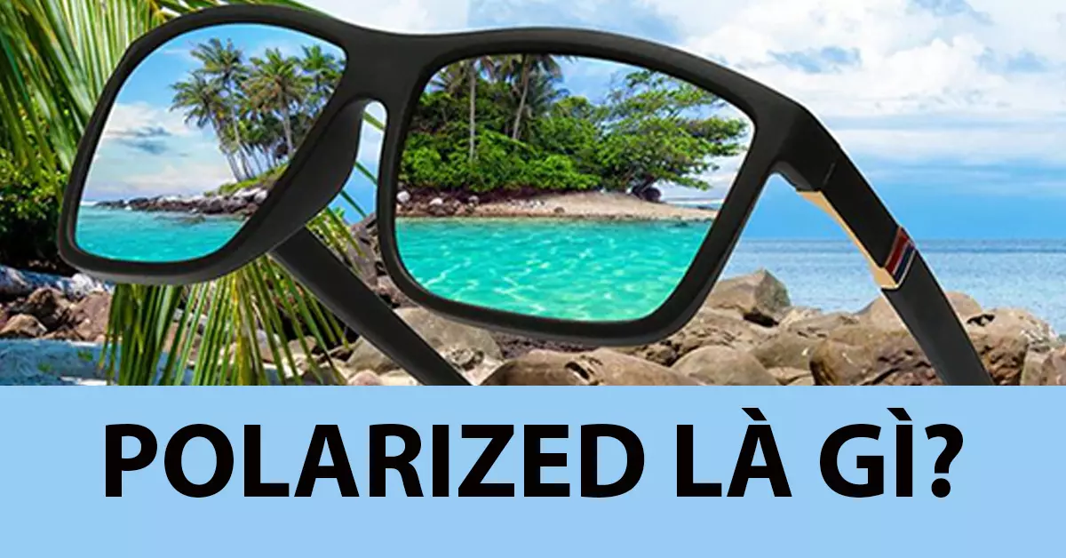 polarized là gì?
