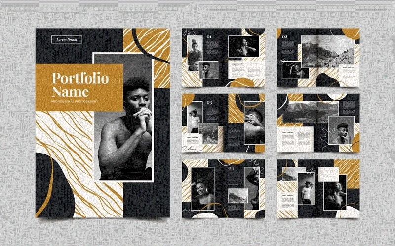 Số lượng portfolio