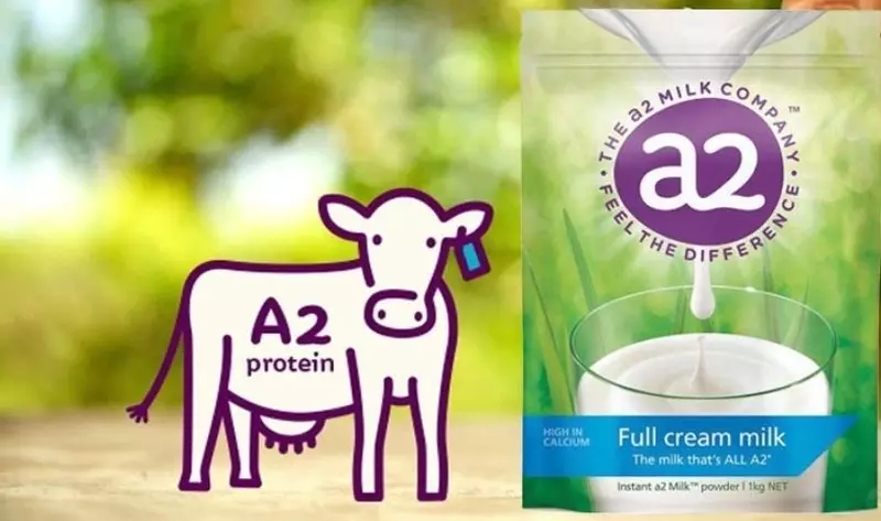 Thành phần khác biệt của sữa A2 so với sữa A1