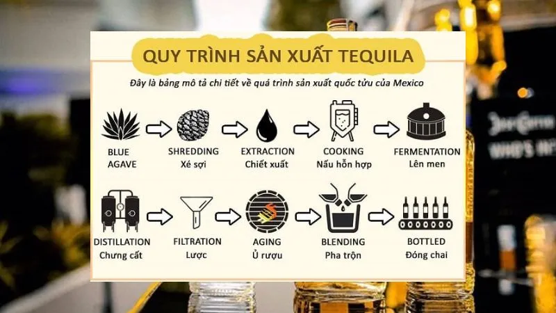 Tequila được ủ như thế nào?